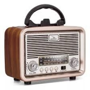 RADIO PORTATIL AM/FM/SW GRASEP D-F12BT