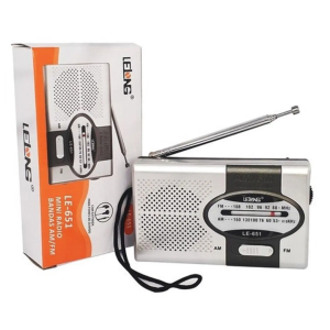 RADIO LELONG LE-651 AM/FM